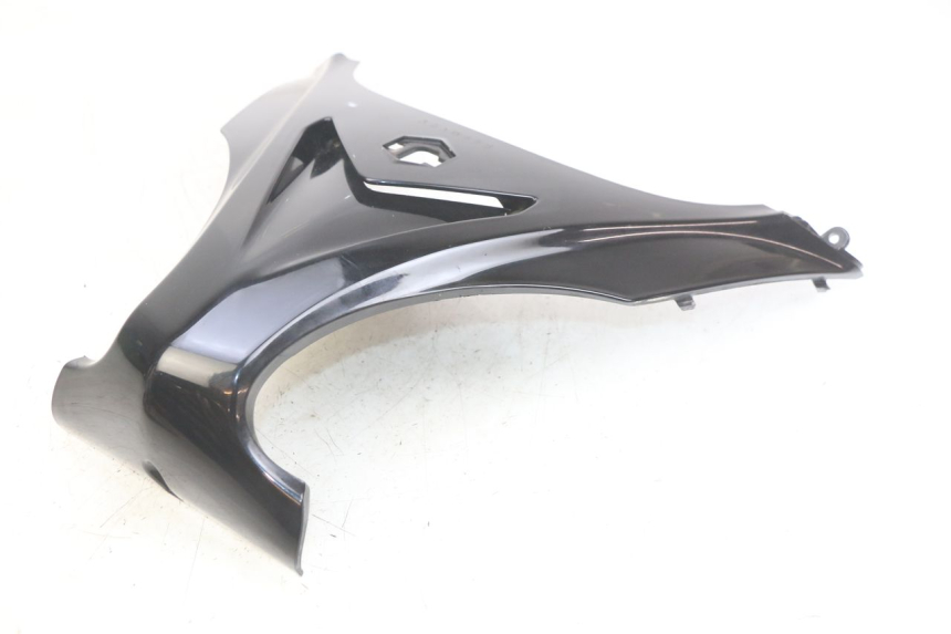 photo de GÓRNA PRZEDNIA MASKOWNICA PIAGGIO X9 EVOLUTION 125 (2003 - 2007) - Widok ogólny