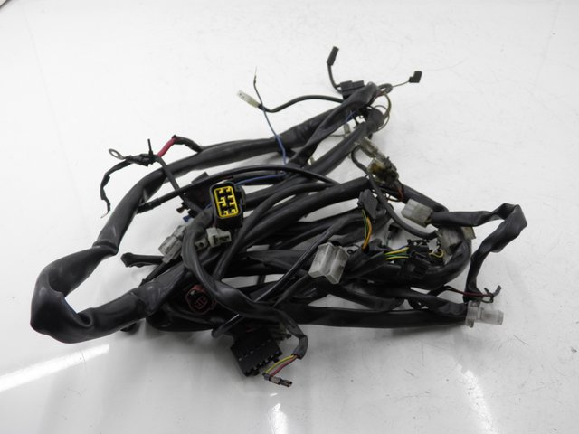 photo de INSTALACJA ELEKTRYCZNA APRILIA LEONARDO ST 250 (2002 - 2005) - Widok główny