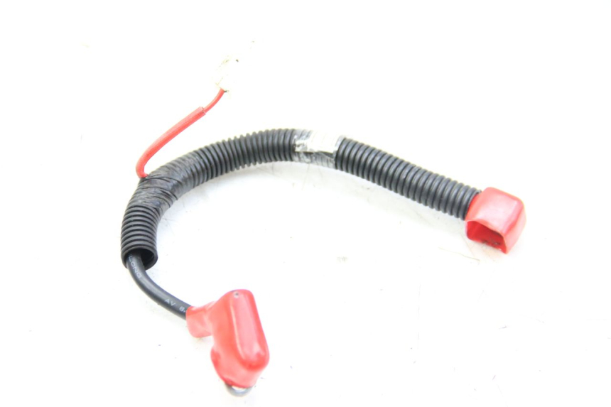 photo de WIĄZKA AKUMULATORA SYM ORBIT III 3 4T 50 (2021 - 2025) - Widok główny