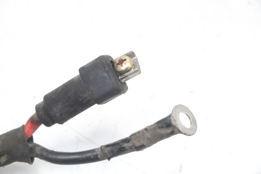 photo de WIĄZKA AKUMULATORA PIAGGIO ZIP 2T 50 (2009 - 2019) - Szczegół części