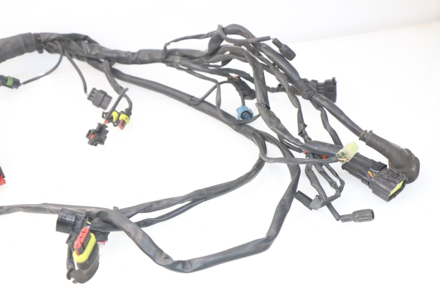 photo de INSTALACJA ELEKTRYCZNA MV AGUSTA BRUTALE R WALLY 910 (2008 - 2008) - Struktura - zbliżenie