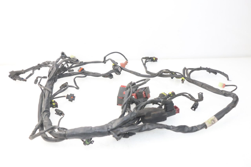 photo de INSTALACJA ELEKTRYCZNA MV AGUSTA BRUTALE R WALLY 910 (2008 - 2008) - Zbliżenie techniczne