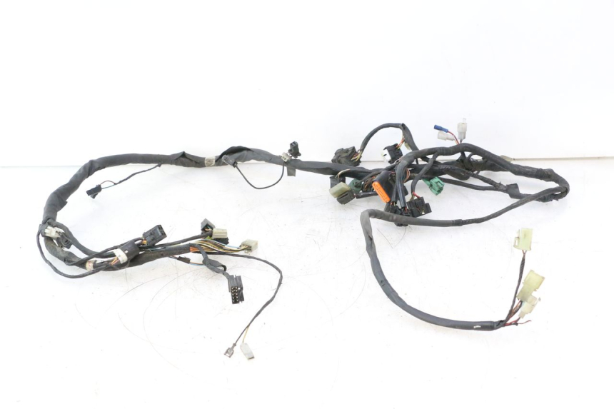photo de INSTALACJA ELEKTRYCZNA SUZUKI BURGMAN 125 (2007 - 2014) - Widok główny