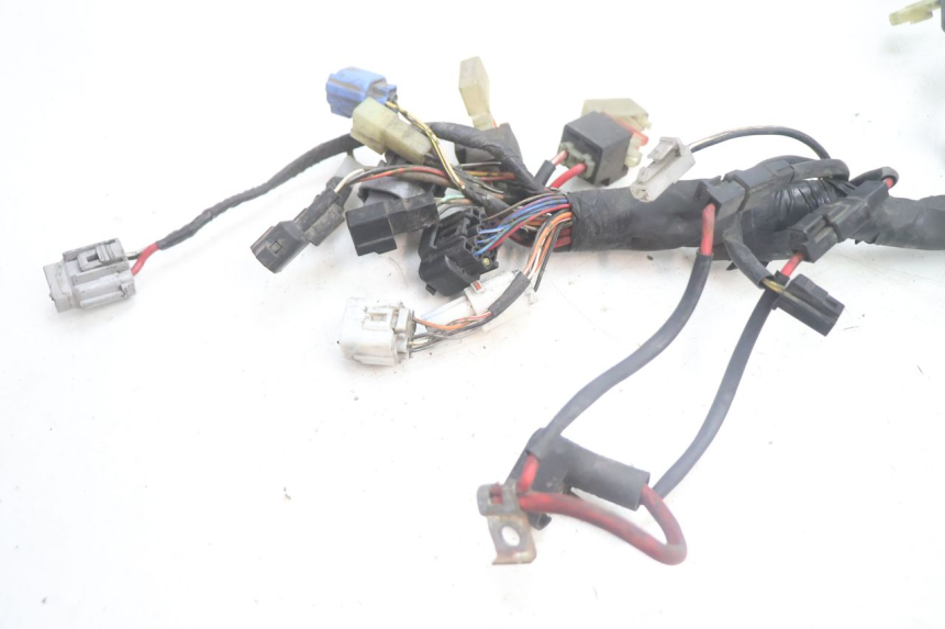 photo de INSTALACJA ELEKTRYCZNA SUZUKI BURGMAN EXECUTIVE ABS 650 (2006 - 2012) - Szczegół części