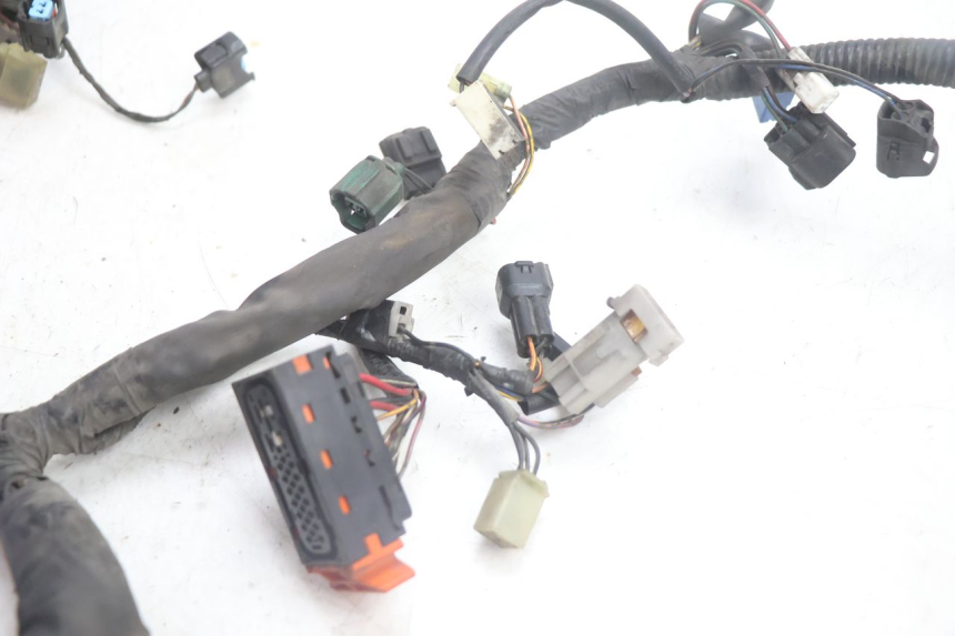 photo de INSTALACJA ELEKTRYCZNA SUZUKI BURGMAN EXECUTIVE ABS 650 (2006 - 2012) - Widok ogólny