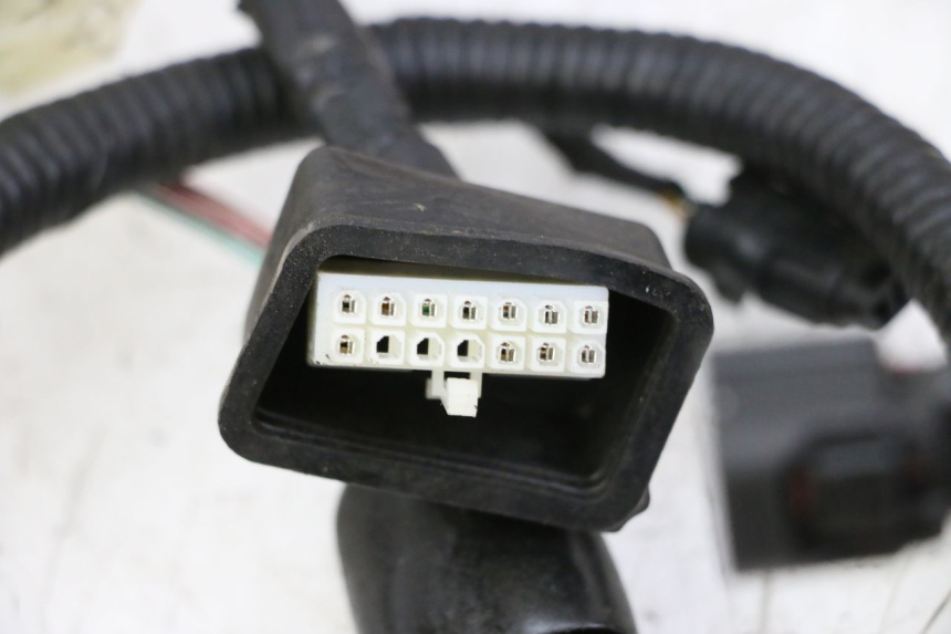 photo de INSTALACJA ELEKTRYCZNA ORCAL CAVARO 4T 50 (2019 - 2023) - Zoom stanu zużycia