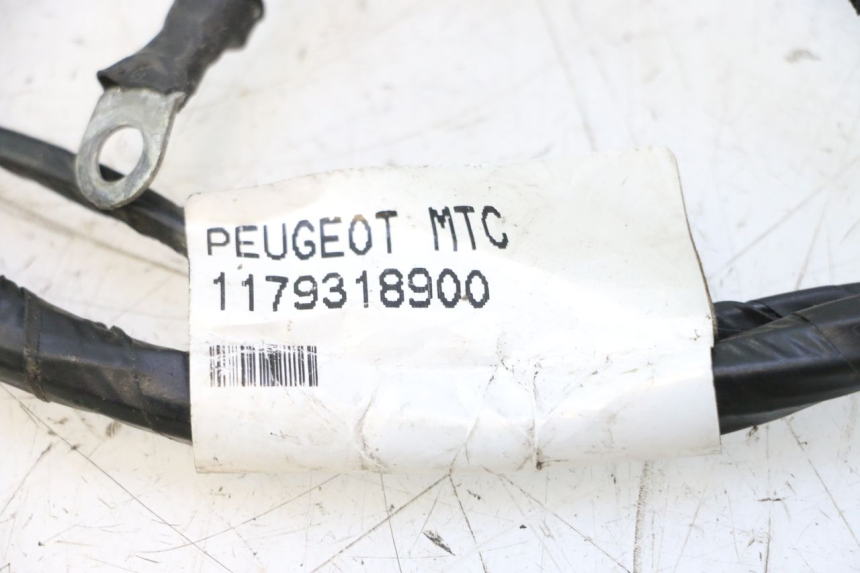 photo de INSTALACJA ELEKTRYCZNA PEUGEOT CITYSTAR 2T 50 (2018 - 2021) - Inny kąt widzenia
