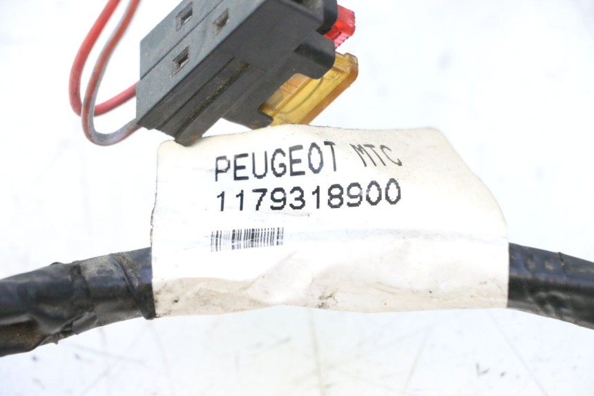 photo de INSTALACJA ELEKTRYCZNA PEUGEOT CITYSTAR 2T 50 (2018 - 2021) - Stan powierzchni