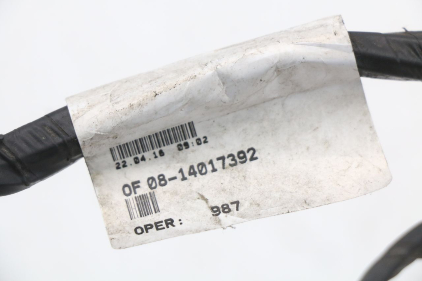 photo de INSTALACJA ELEKTRYCZNA PEUGEOT CITYSTAR 50 (2013 - 2017) - Zoom stanu zużycia