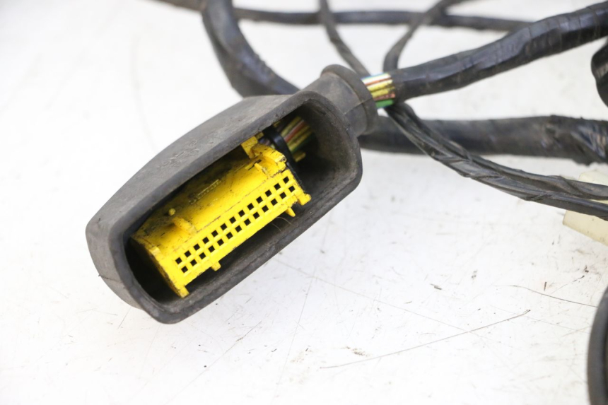 photo de INSTALACJA ELEKTRYCZNA PEUGEOT CITYSTAR 50 (2013 - 2017) - Widok ogólny