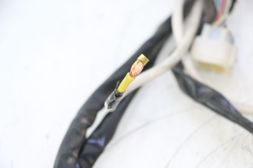 photo de WIĄZKA ELEKTRYCZNA WAYSCRAL E-START 1 (2018 - 2022) - Widok produktu