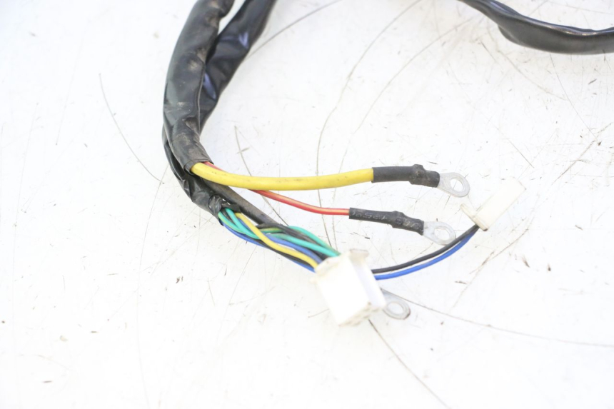 photo de WIĄZKA ELEKTRYCZNA WAYSCRAL E-START 1 (2018 - 2022) - Szczegóły charakterystyczne