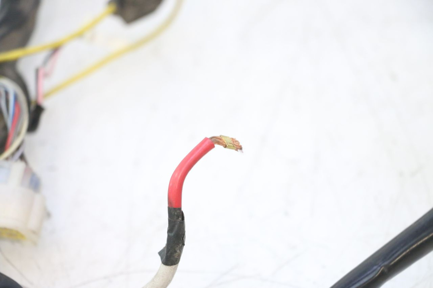 photo de WIĄZKA ELEKTRYCZNA WAYSCRAL E-START 1 (2018 - 2022) - Oznaczenia i referencje
