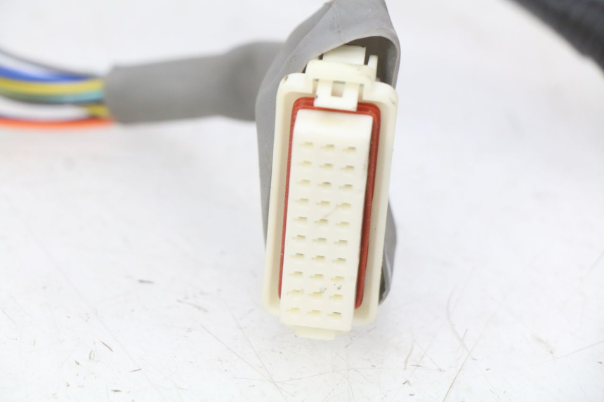 photo de WIĄZKA ELEKTRYCZNA EFUN E2GO 1 (2017 - 2021) - Zbliżenie techniczne