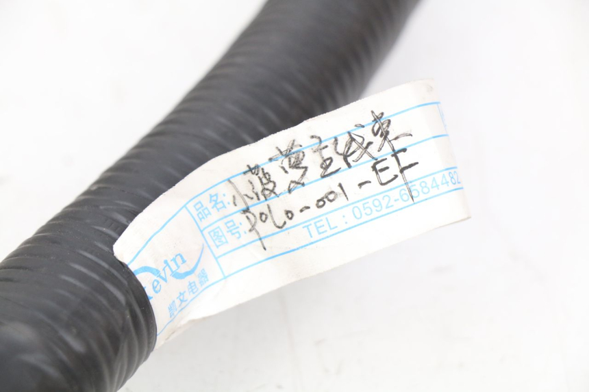 photo de WIĄZKA ELEKTRYCZNA EFUN E2GO 1 (2017 - 2021) - Część sprawdzona