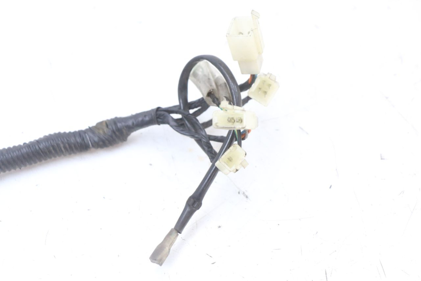 photo de WIĄZKA ELEKTRYCZNA LONGJIA EASY MAX 125 (2020 - 2024) - Szczegół części