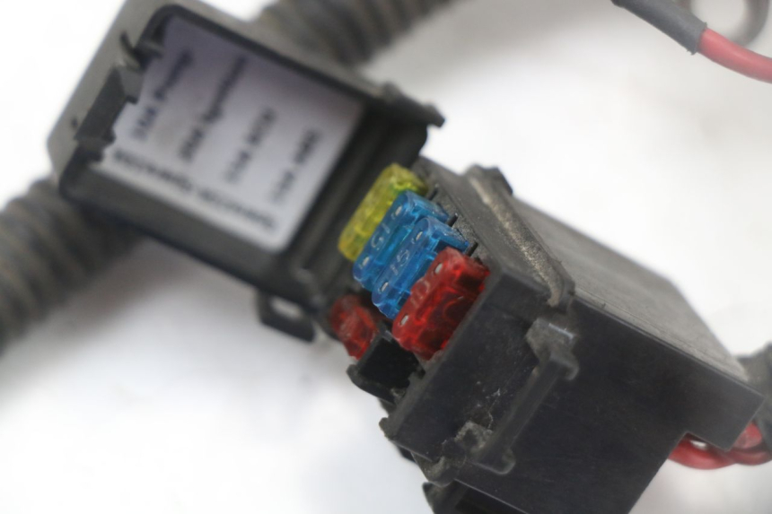 photo de WIĄZKA ELEKTRYCZNA LONGJIA EASY MAX 125 (2020 - 2024) - Szczegóły charakterystyczne