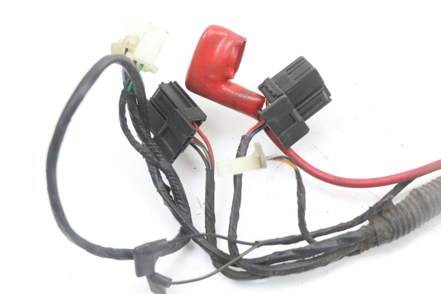 photo de WIĄZKA ELEKTRYCZNA LONGJIA EASY MAX 125 (2020 - 2024) - Zbliżenie komponentów