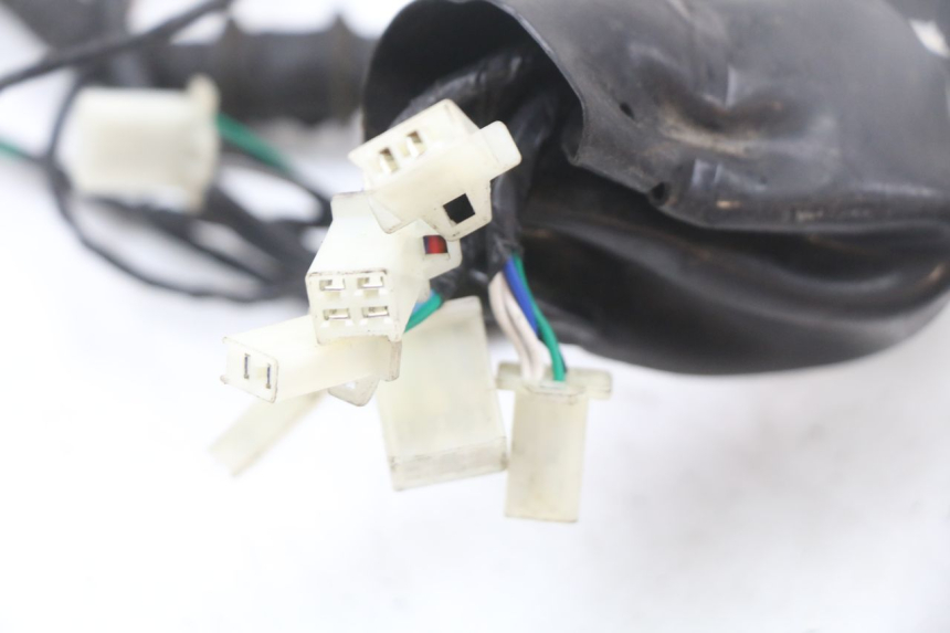 photo de WIĄZKA ELEKTRYCZNA LONGJIA EASY MAX 125 (2020 - 2024) - Inny kąt widzenia