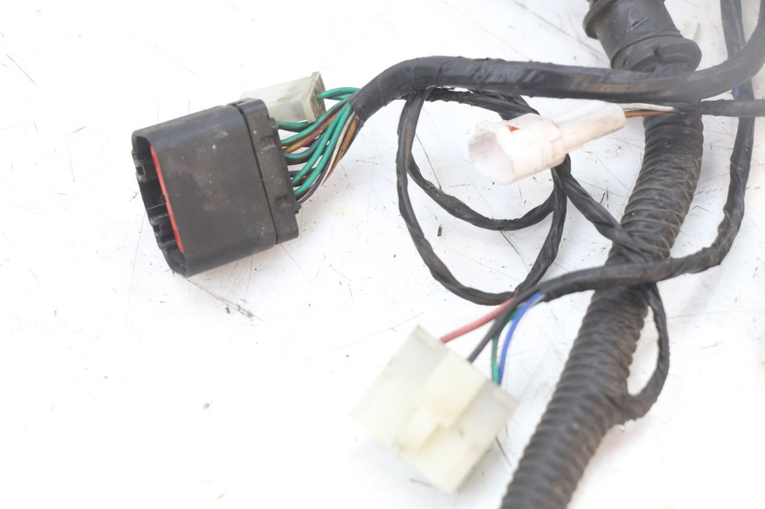 photo de WIĄZKA ELEKTRYCZNA LONGJIA EASY MAX 125 (2020 - 2024) - Widok ogólny