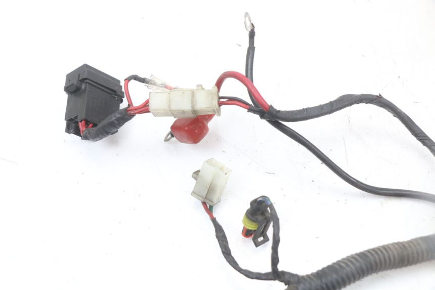 photo de WIĄZKA ELEKTRYCZNA LONGJIA EASY MAX 125 (2020 - 2024) - Oznaczenia i referencje