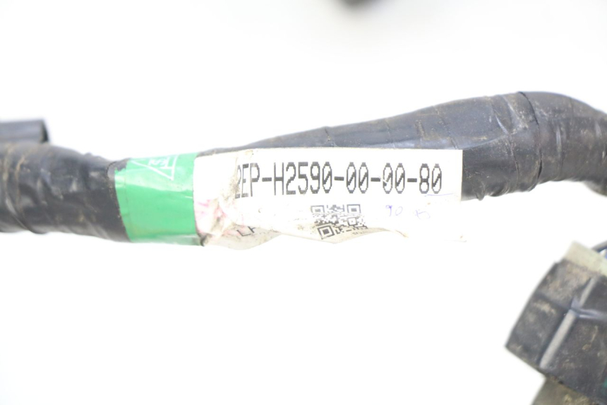 photo de INSTALACJA ELEKTRYCZNA YAMAHA D'ELIGHT DELIGHT 115 (2013 - 2017) - Zbliżenie techniczne