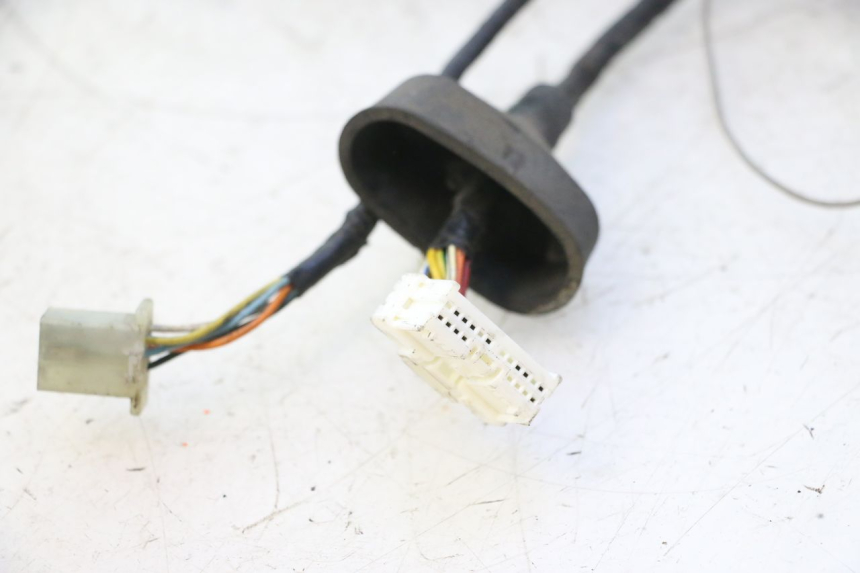 photo de WIĄZKA ELEKTRYCZNA PEUGEOT ELYSTAR 50 (2002 - 2014) - Inny kąt widzenia