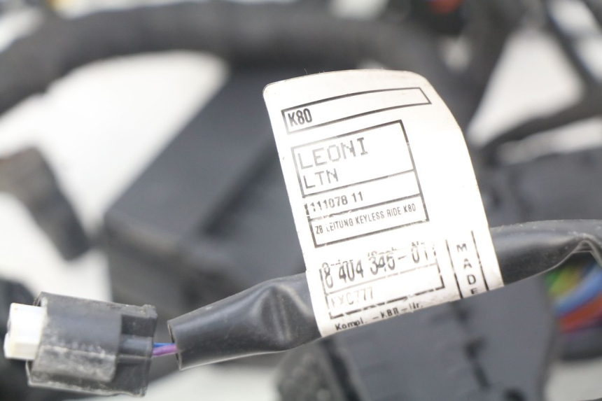 photo de INSTALACJA ELEKTRYCZNA BMW F GS K81 850 (2018 - 2023) - Szczegół części