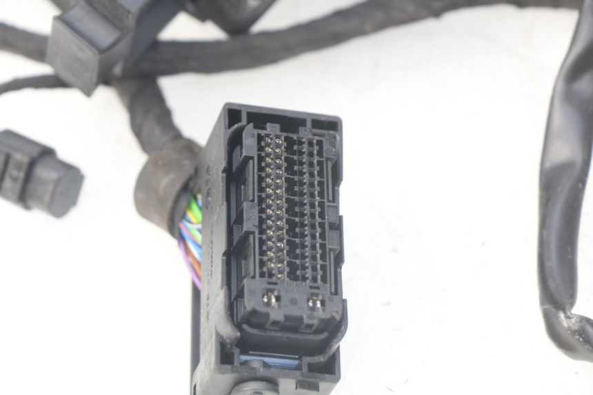 photo de INSTALACJA ELEKTRYCZNA BMW F GS K81 850 (2018 - 2023) - Widok ogólny