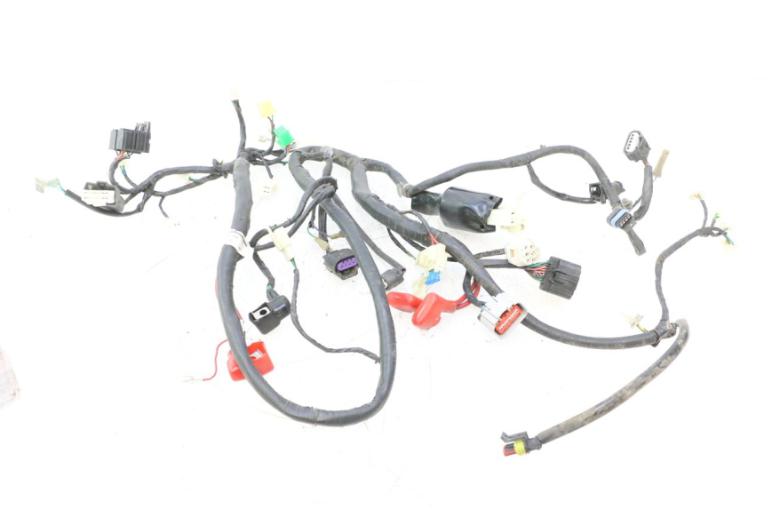 photo de WIĄZKA ELEKTRYCZNA JM MOTORS F45i 4T 50 (2020 - 2023) - Widok główny