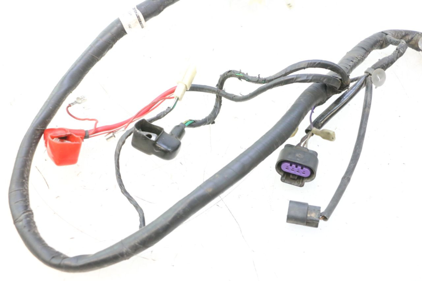 photo de WIĄZKA ELEKTRYCZNA JM MOTORS F45i 4T 50 (2020 - 2023) - Inny kąt widzenia