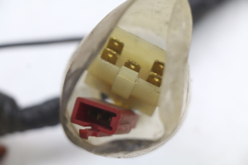 photo de INSTALACJA ELEKTRYCZNA HONDA FES PANTHEON 2T 125 (1998 - 2002) - Oznaczenia i referencje