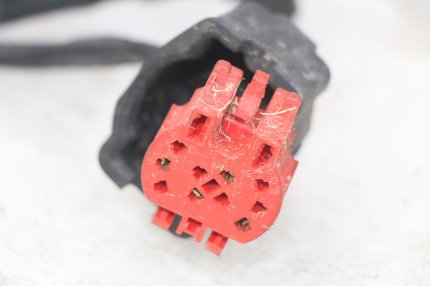 photo de INSTALACJA ELEKTRYCZNA HONDA FES PANTHEON 125 (2003 - 2007) - Widok z bliska