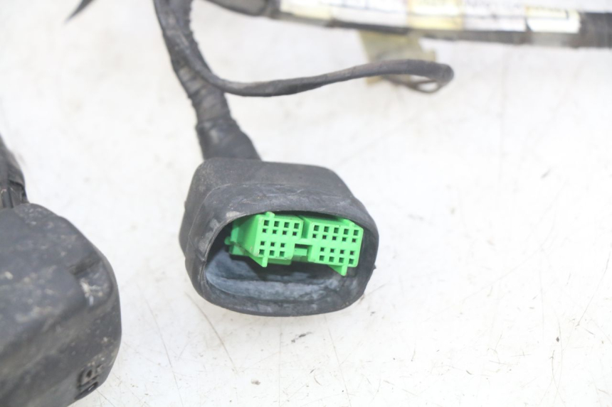 photo de INSTALACJA ELEKTRYCZNA HONDA FES PANTHEON 125 (2003 - 2007) - Część sprawdzona