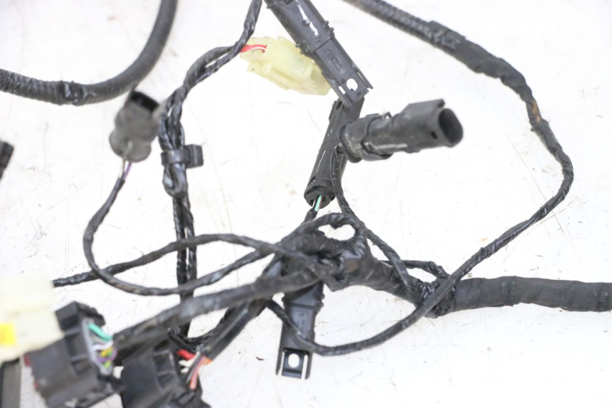 photo de INSTALACJA ELEKTRYCZNA BMW G310 R 310 (2016 - 2020) - Widok z bliska