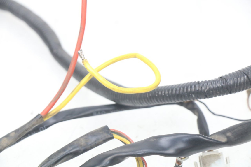 photo de WIĄZKA ELEKTRYCZNA EUROCKA GREEN 1 - Inny kąt widzenia