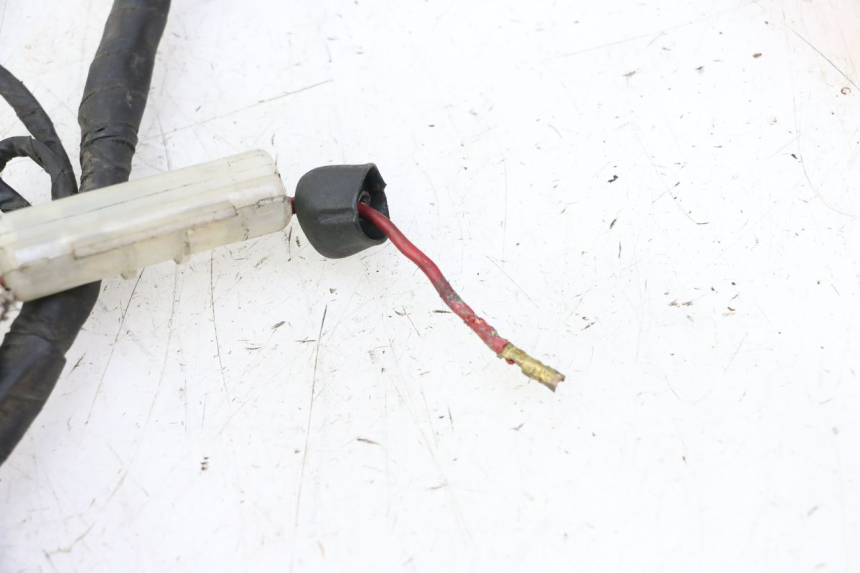 photo de INSTALACJA ELEKTRYCZNA DAELIM HISTORY 125 (2001 - 2002) - Inny kąt widzenia