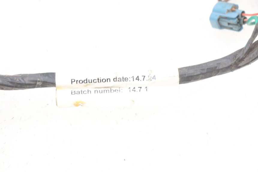 photo de INSTALACJA ELEKTRYCZNA PEUGEOT KISBEE 2T 50 (2010 - 2017) - Szczegół części