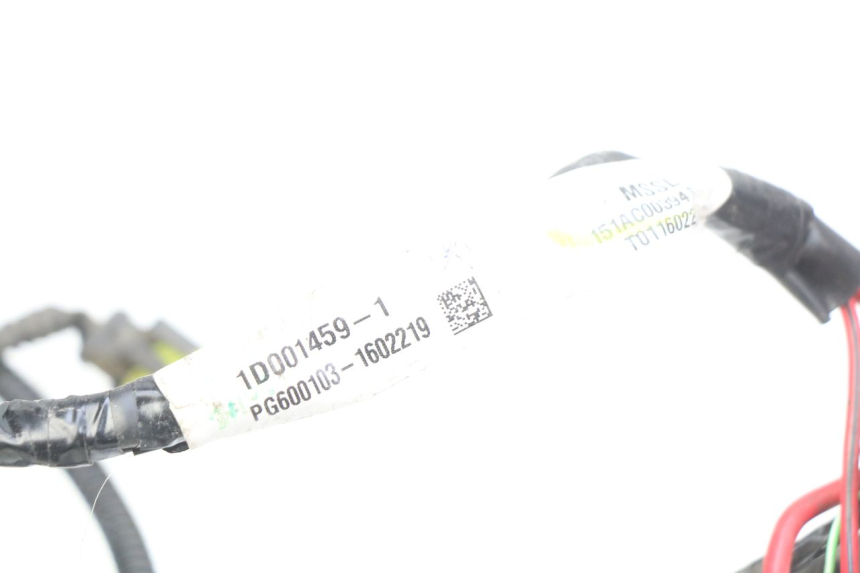 photo de WIĄZKA ELEKTRYCZNA PIAGGIO LIBERTY IGET 4T 50 (2015 - 2020) - Widok ogólny