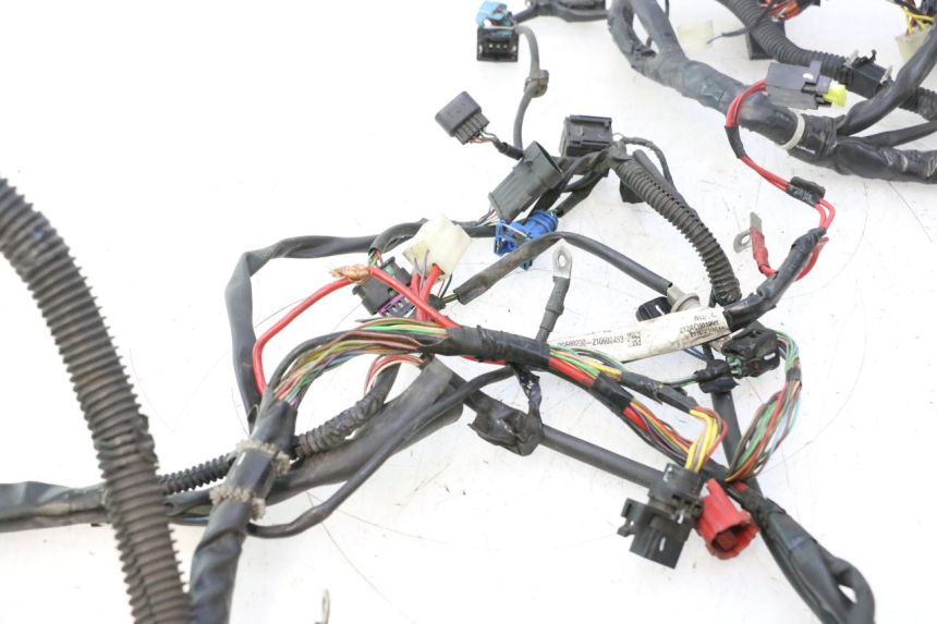 photo de WIĄZKA ELEKTRYCZNA PIAGGIO LIBERTY IGET 4T 50 (2021 - 2025) - Struktura - zbliżenie