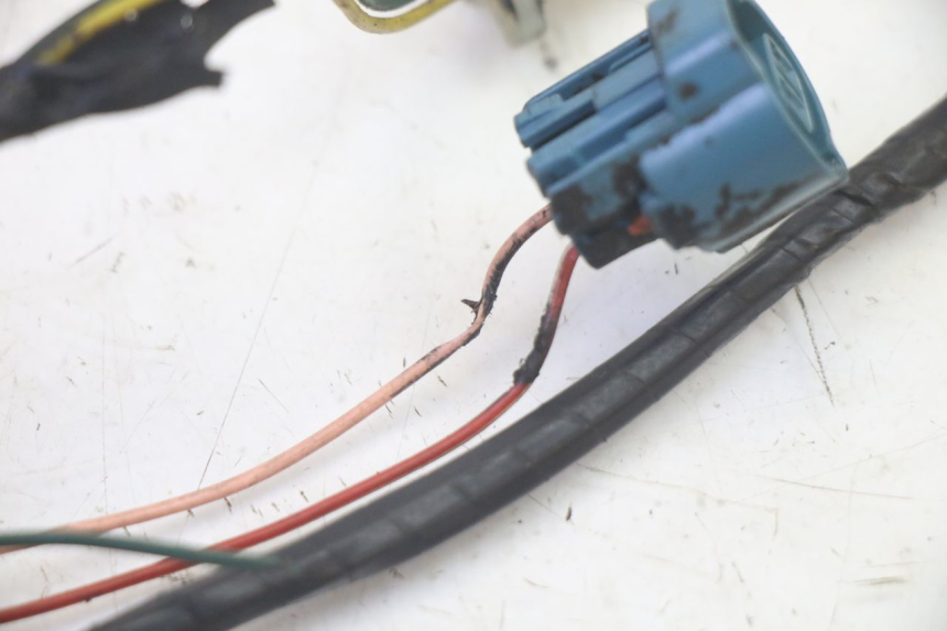 photo de WIĄZKA ELEKTRYCZNA PEUGEOT LUDIX 50 (2008 - 2017) - Zbliżenie techniczne