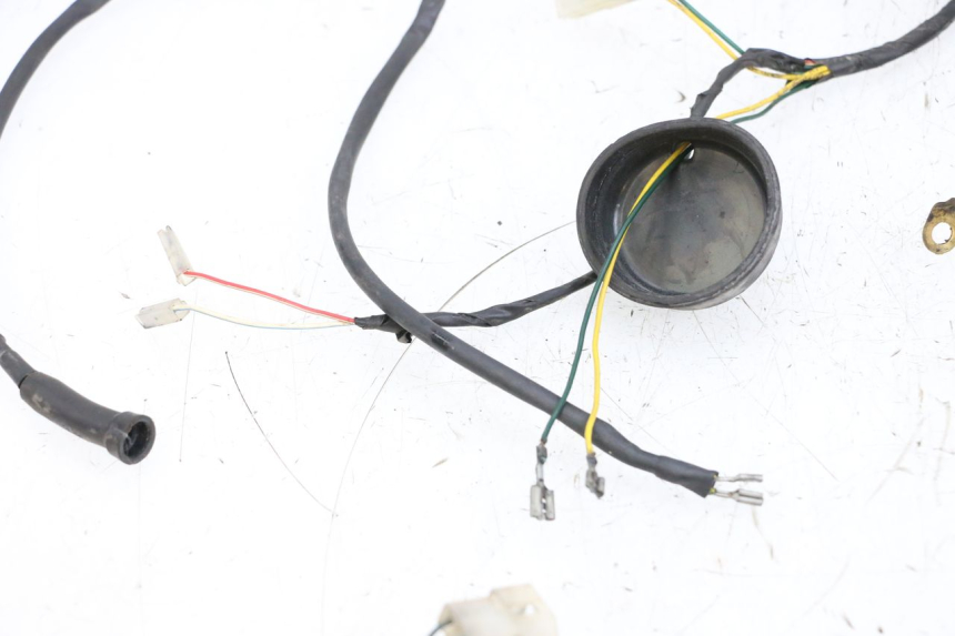 photo de INSTALACJA ELEKTRYCZNA PEUGEOT LUDIX 50 (2005 - 2007) - Widok z bliska