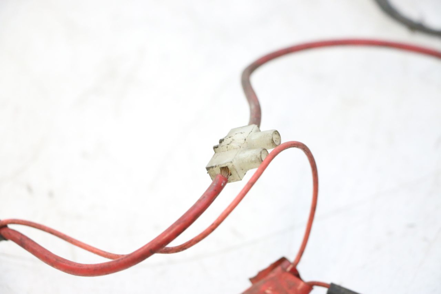photo de INSTALACJA ELEKTRYCZNA PEUGEOT LUDIX 50 (2005 - 2007) - Widok produktu