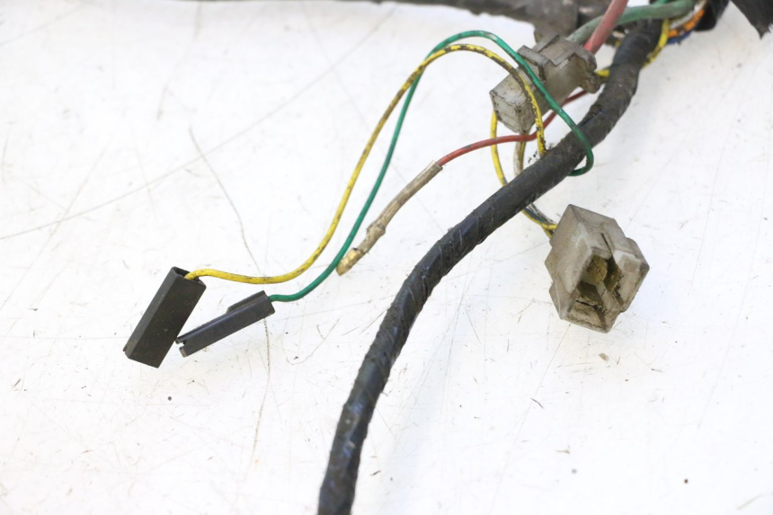 photo de INSTALACJA ELEKTRYCZNA PEUGEOT LUDIX 50 (2005 - 2007) - Zbliżenie komponentów