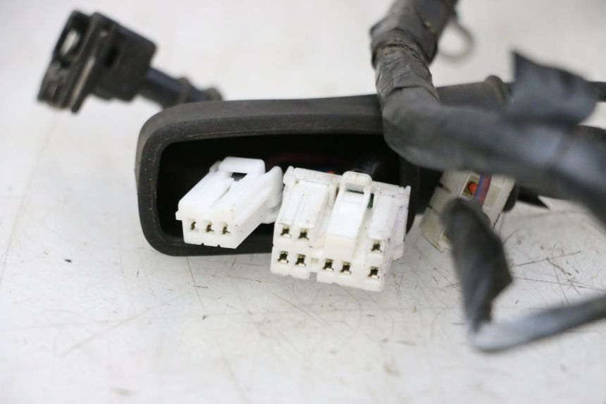 photo de WIĄZKA ELEKTRYCZNA PIAGGIO LXV 4T 50 (2009 - 2013) - Stan powierzchni