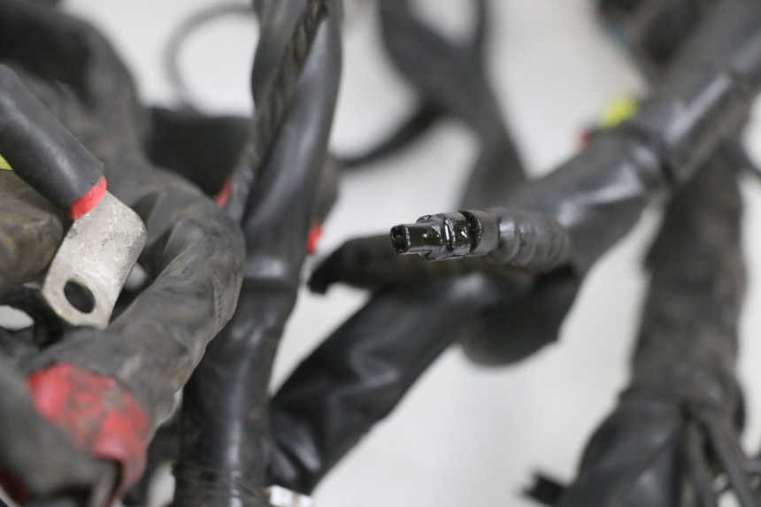 photo de INSTALACJA ELEKTRYCZNA PIAGGIO MP3 RL 250 (2006 - 2010) - Szczegół części