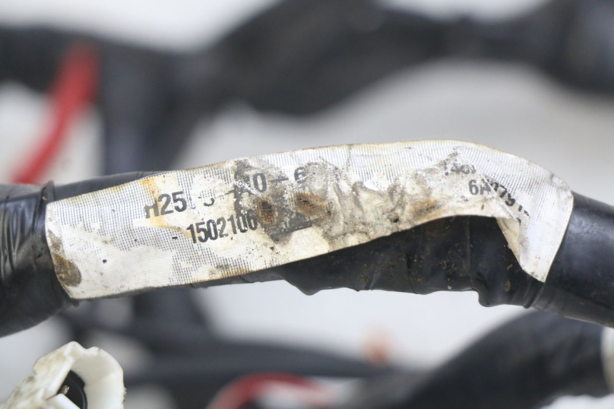 photo de INSTALACJA ELEKTRYCZNA YAMAHA MT ABS 125 (2014 - 2018) - Szczegół części