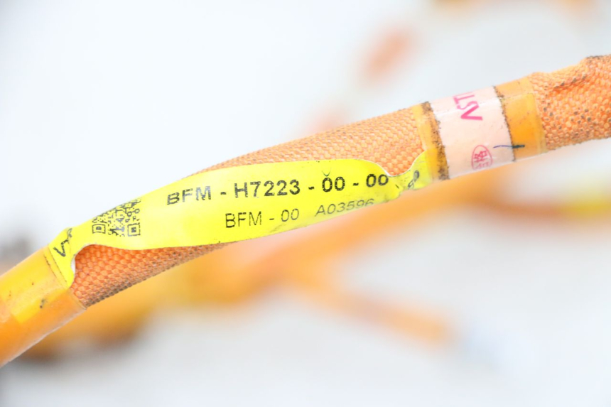 photo de INSTALACJA ELEKTRYCZNA YAMAHA NEO'S CORE 1 (2022 - 2026) - Szczegół części