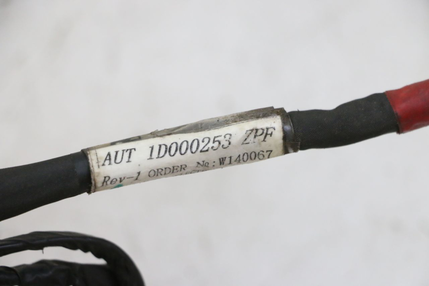 photo de INSTALACJA ELEKTRYCZNA PIAGGIO NEW TYPHOON 50 (2010 - 2017) - Szczegół części