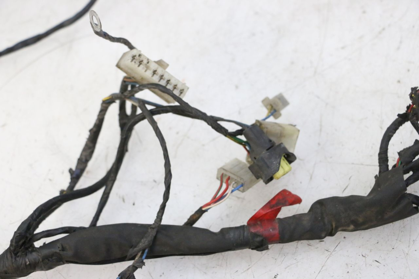 photo de INSTALACJA ELEKTRYCZNA PIAGGIO NEW TYPHOON 50 (2010 - 2017) - Inny kąt widzenia